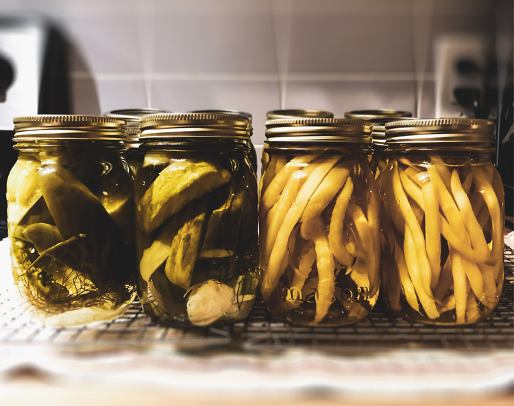 Lacto Fermentation